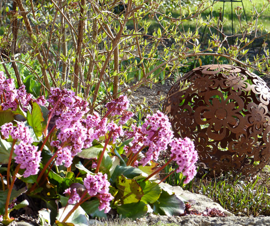 Baumschule Köhler GbR Baumschule Köhler GbR